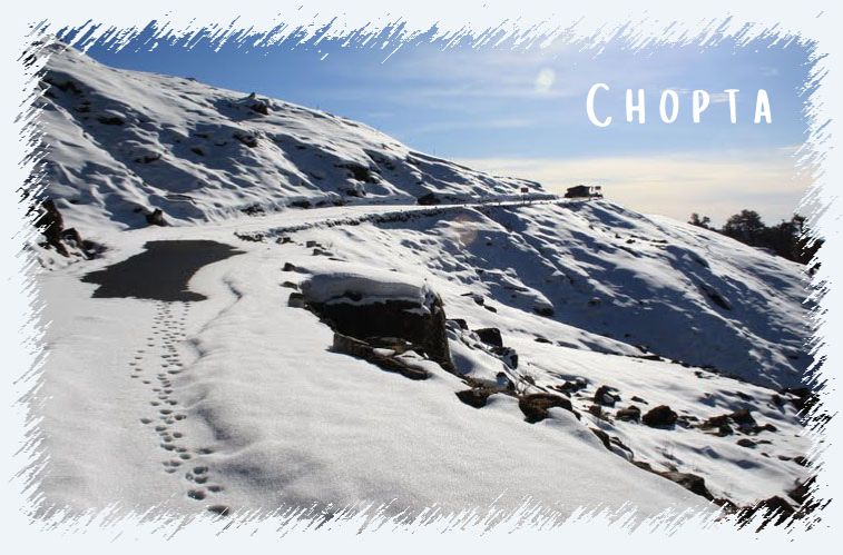 Chopta Tour Package – Weekend Trip from Delhi to Himalayas